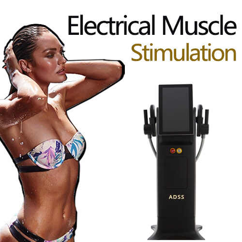 Professional electrical muscle stimulator EMS slimming beauty equipment  machine with CE approval : : Sports & Outdoors